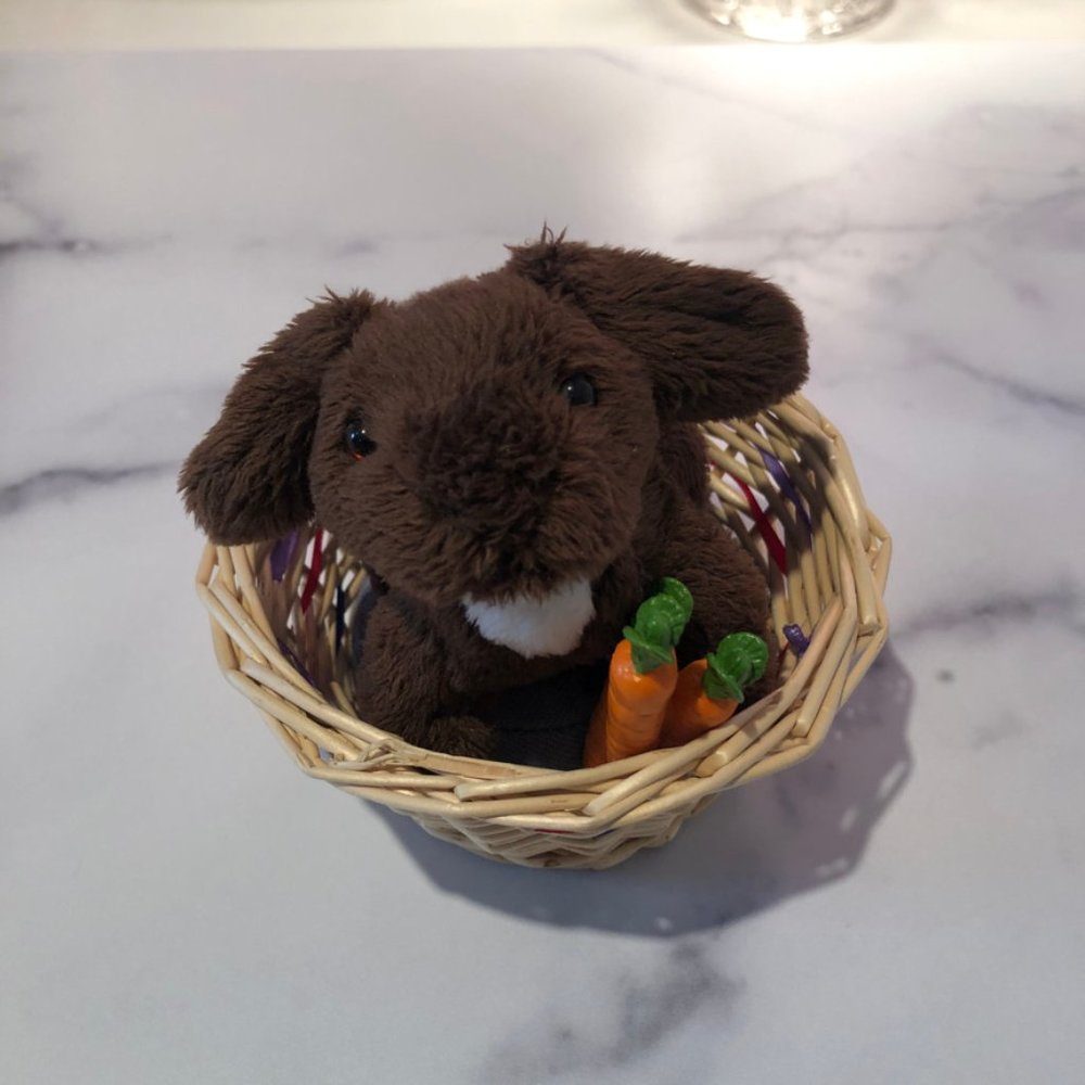 American Girl Julie's Pet Bunny Nutmeg